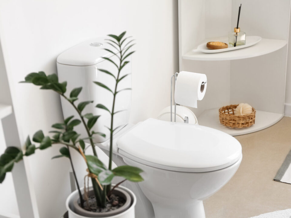 Interior of stylish modern restroom with toilet bowl